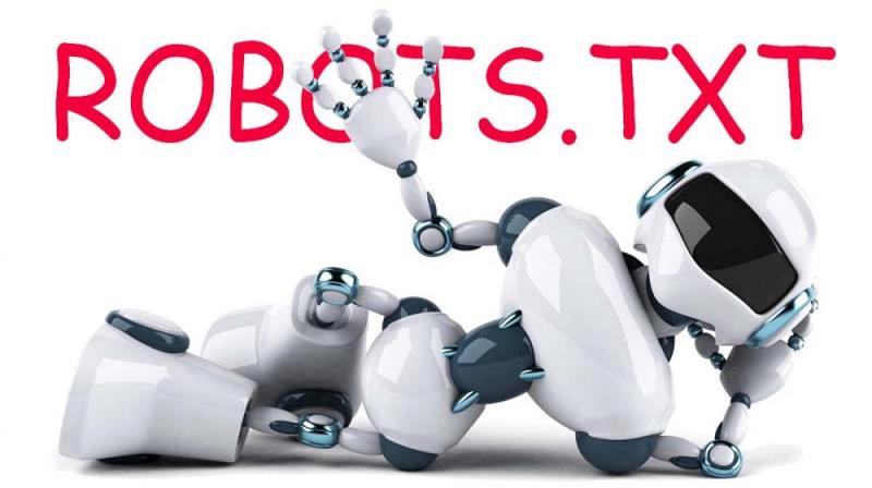 Что такое robots.txt и зачем он нужен в Волгограде